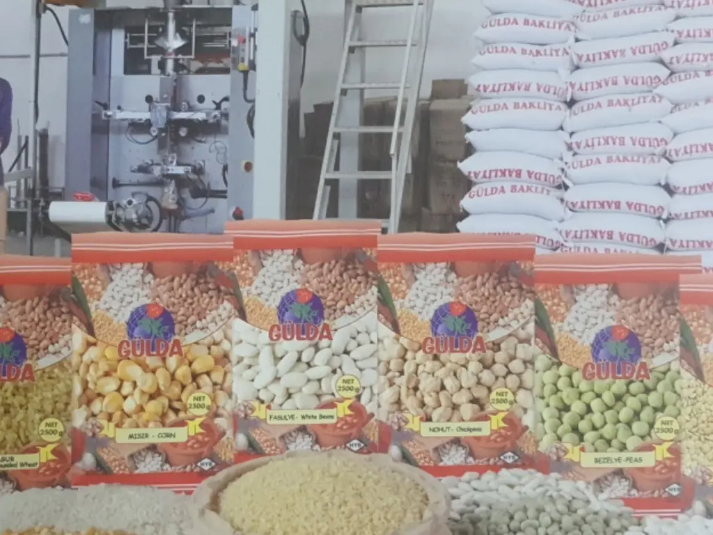 Gülda Pulses - Mersin