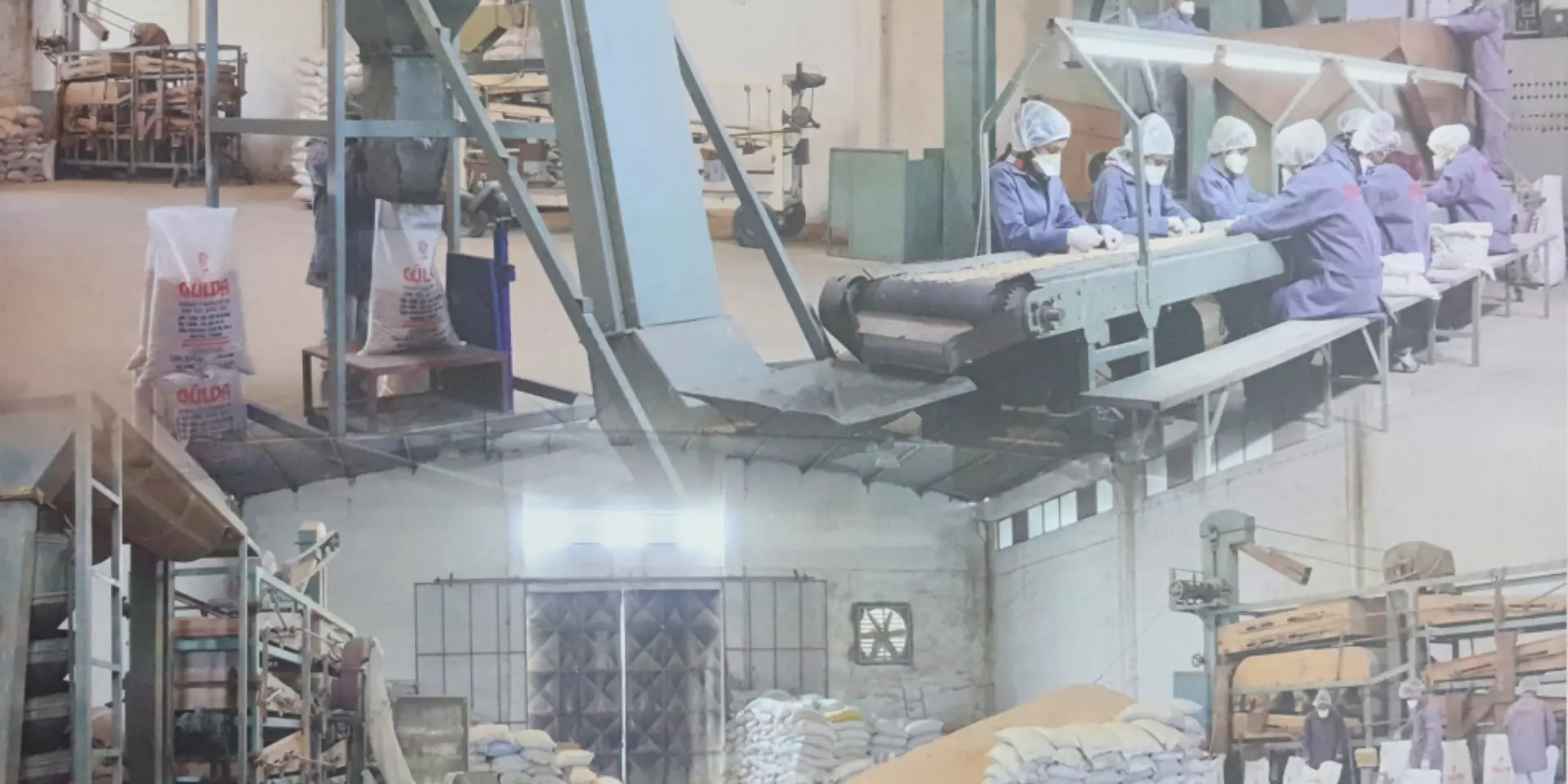 Gülda Pulses - Mersin