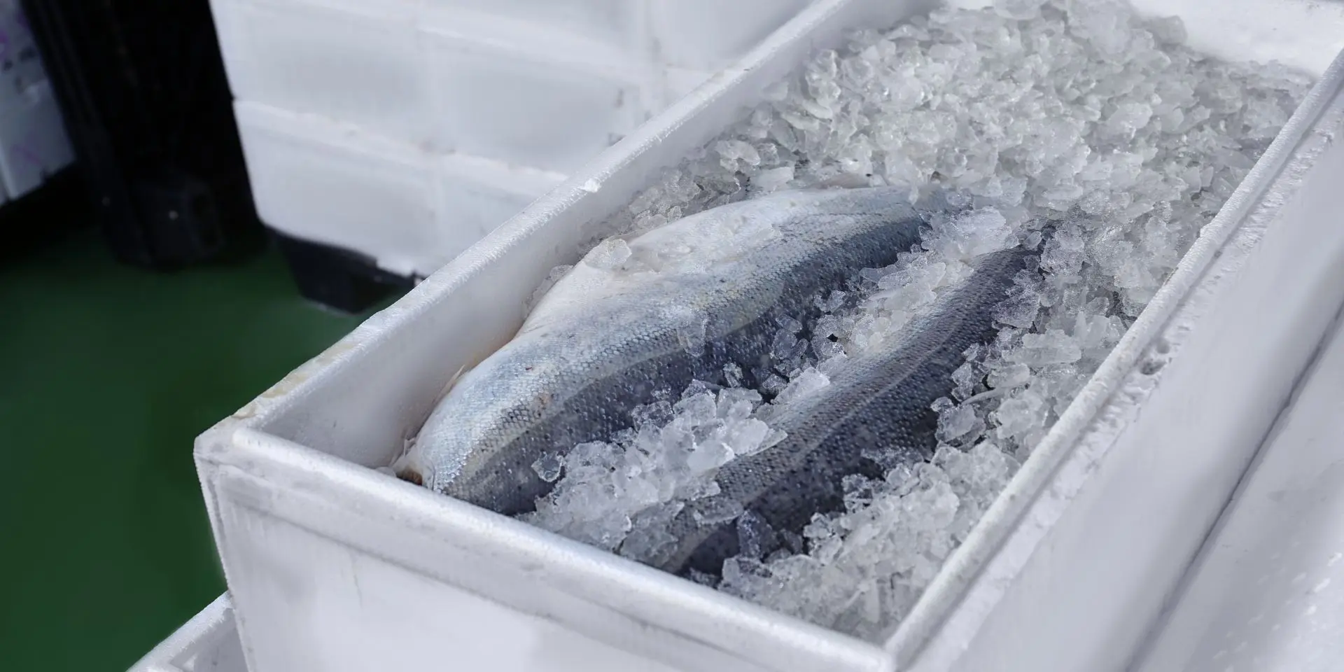 Gülda Cold Storage - Mersin