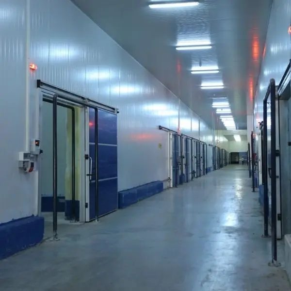 Gülda Cold Storage - Mersin