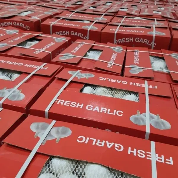 Gülda Cold Storage - Mersin